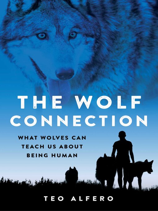 Title details for The Wolf Connection by Teo Alfero - Available